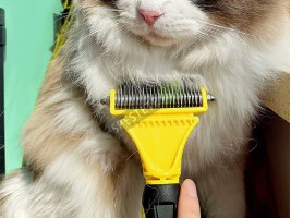 Двустранен гребен за домашни любимци-foto2