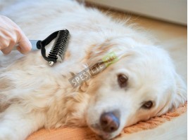 Двустранен гребен за домашни любимци-foto4