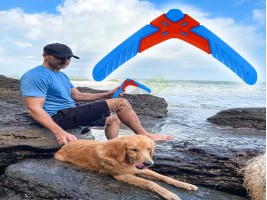 Играчка бумеранг за домашен любимец-foto3