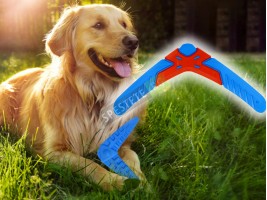 Играчка бумеранг за домашен любимец-foto2