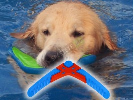 Играчка бумеранг за домашен любимец-foto5