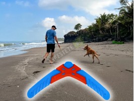 Играчка бумеранг за домашен любимец-foto4