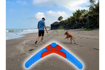 Играчка бумеранг за домашен любимец-foto4