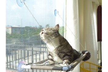 Котешко легло за прозорец-foto3