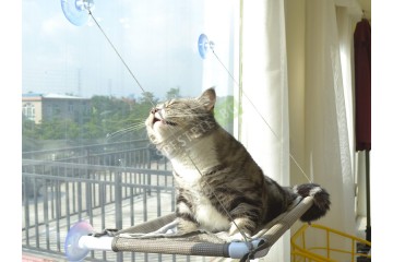 Котешко легло за прозорец-foto3