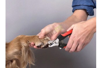 Клещи нокторезачка за домашен любимец-foto2