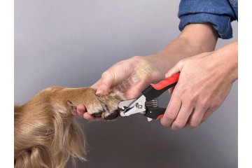 Клещи нокторезачка за домашен любимец-foto2