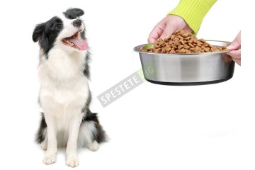 Купа за храна и вода с гумирано дъно-foto2