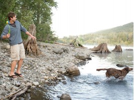Стик за хвърляне на топка за домашни любимци-foto2