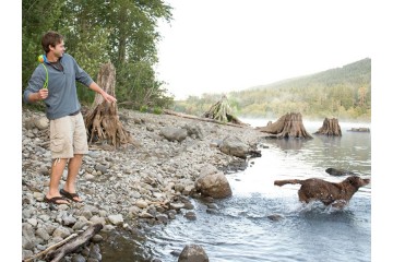 Стик за хвърляне на топка за домашни любимци-foto2
