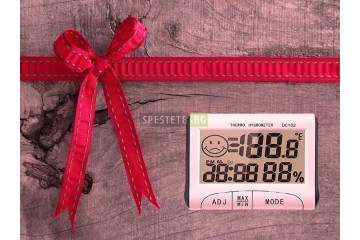 Термометър и влагометър-foto3