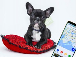 Bluetooth GPS ключодържател-foto4