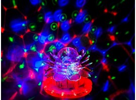 Диско крушка цвете-foto2