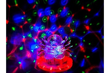 Диско крушка цвете-foto2