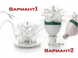 Диско крушка цвете-foto3