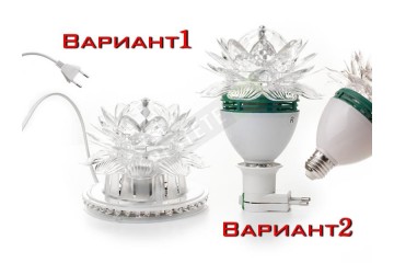 Диско крушка цвете-foto3