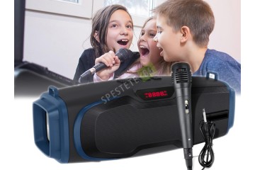Безжична колона с микрофон