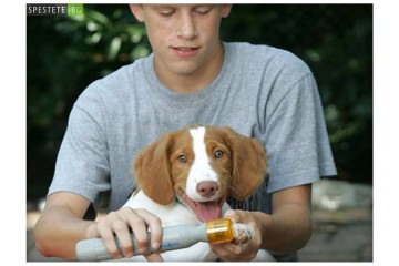 Pedi Paws тример пила за ноктите на вашето куче или коте