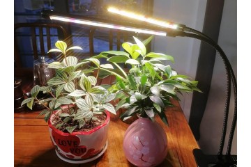 Лампа за растения-foto3
