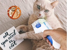 Електрически гребен против бълхи за домашен любимец-foto3