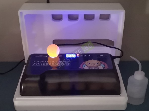 Автоматичен инкубатор за яйца