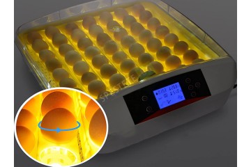 Автоматичен инкубатор за яйца-foto3