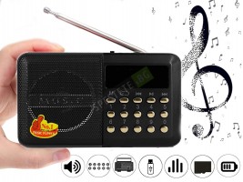 Мини мултифункционална музикална система - WS-239-foto2