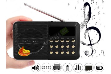 Мини мултифункционална музикална система - WS-239-foto2