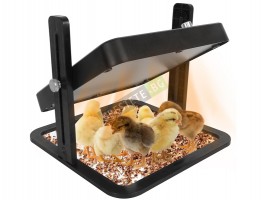 Нагревателна затопляща плоча за пилета-foto3