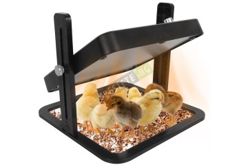 Нагревателна затопляща плоча за пилета-foto3