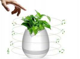 Музикална саксия-foto3