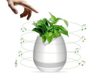 Музикална саксия-foto3