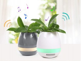 Музикална саксия-foto2