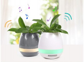 Музикална саксия-foto2