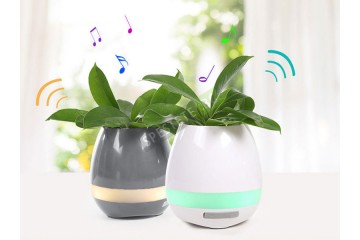 Музикална саксия-foto2