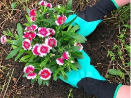 Градински ръкавици-foto4