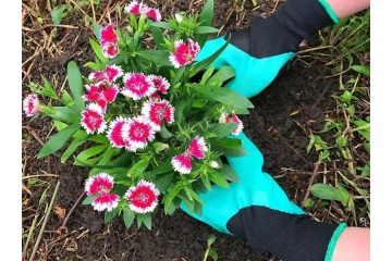 Градински ръкавици-foto4