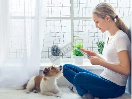 Самозалепващо фолио за стъкло-foto2