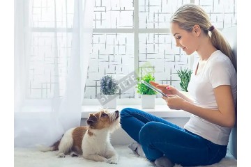 Самозалепващо фолио за стъкло-foto2