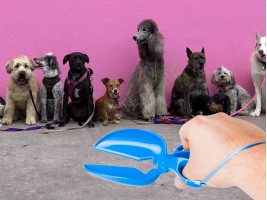 Комплект за почистване след домашен любимец-foto3