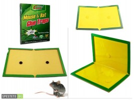 Капан с незасъхващо лепило за мишки и плъхове-foto3