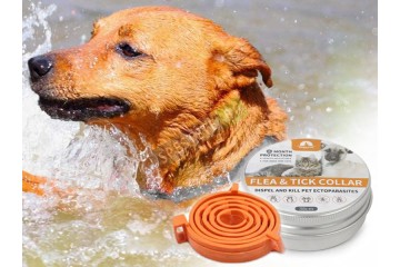 Противопаразитен нашийник за домашни любимци-foto2