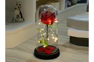 Роза в стъкленица Роза в стъкленица