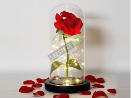 Роза в стъкленица-foto2