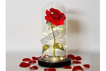 Роза в стъкленица-foto2