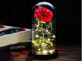 Роза в стъкленица-foto3