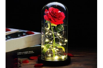 Роза в стъкленица-foto3