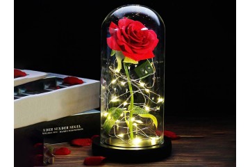 Роза в стъкленица-foto3
