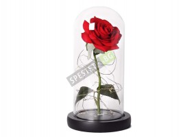 Роза в стъкленица-foto4
