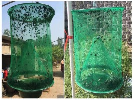 Капан за мухи-foto3